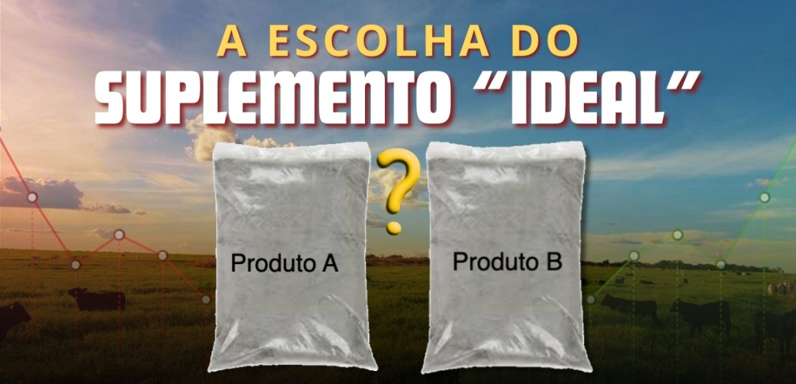 A Escolha do Suplemento