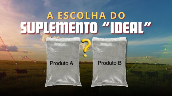 Imagem1 A Escolha do Suplemento