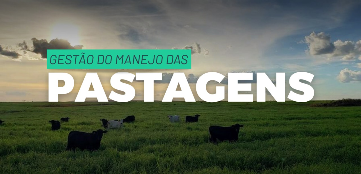 Lucro no Pasto: Por Que Intensificar Sem Gerenciar Está Acabando com a Margem da Sua Fazenda