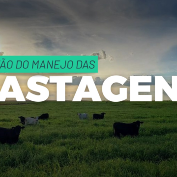 Lucro no Pasto: Por Que Intensificar Sem Gerenciar Está Acabando com a Margem da Sua Fazenda