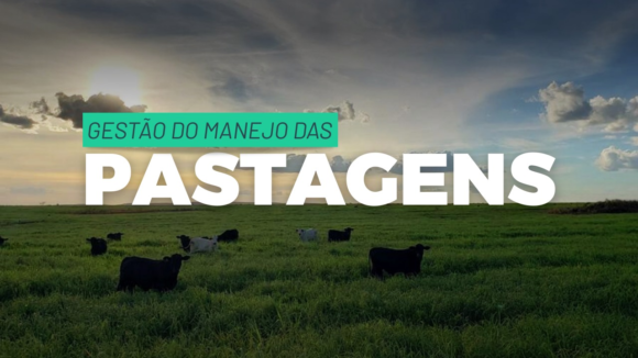 Lucro no Pasto: Por Que Intensificar Sem Gerenciar Está Acabando com a Margem da Sua Fazenda