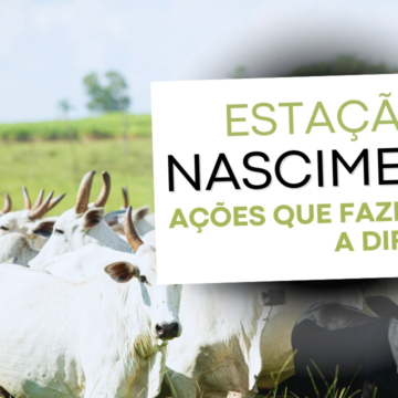 O Segredo das Fazendas de Cria Top