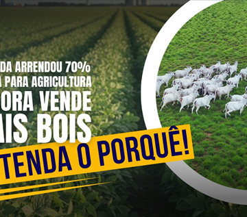 Menos Área, Mais Boi: TIP – A Estratégia da Intensificação para o Novo Cenário da Pecuária