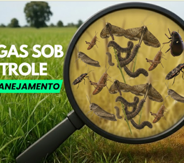 capa Controle de Pragas na Pastagem: Planejamento e Gestão para Evitar Prejuízos na Época das Águas