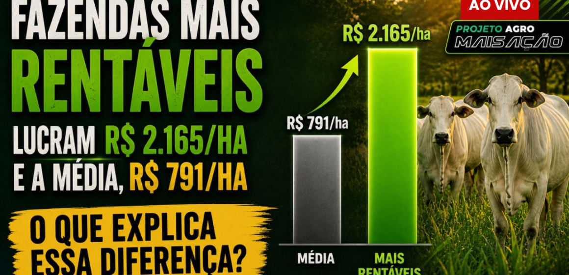 Imagem1 Benchmarking Exagro 2026: O Segredo da Gestão e Rentabilidade na Pecuária de Corte a Pasto