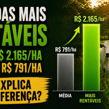 Benchmarking Exagro 2026: O Segredo da Gestão e Rentabilidade na Pecuária de Corte a Pasto