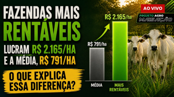 Imagem1 Benchmarking Exagro 2026: O Segredo da Gestão e Rentabilidade na Pecuária de Corte a Pasto