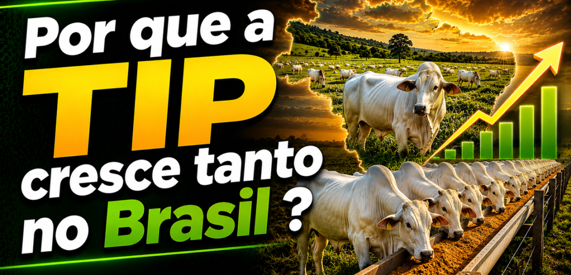 Imagem4 Por que a TIP cresce tanto no Brasil?