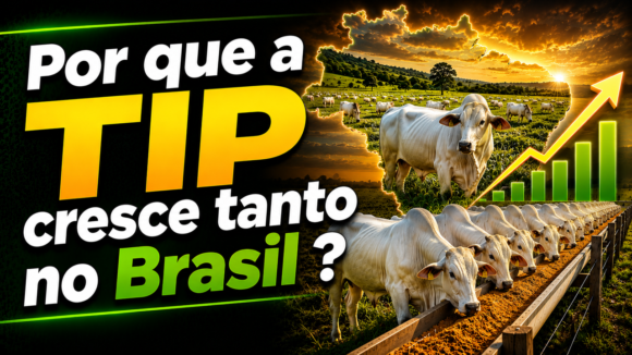 Imagem4 Por que a TIP cresce tanto no Brasil?