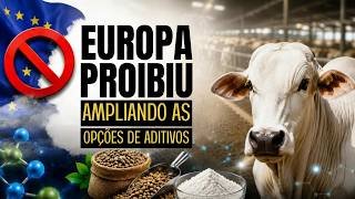 mqdefault (1) A Europa Fechou o Cerco aos Antimicrobianos: E Agora? O Futuro dos Aditivos Naturais na Pecuária de Corte